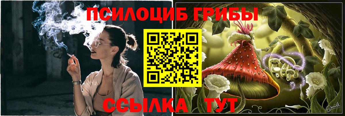 Галлюциногенные грибы мухоморы Орёл